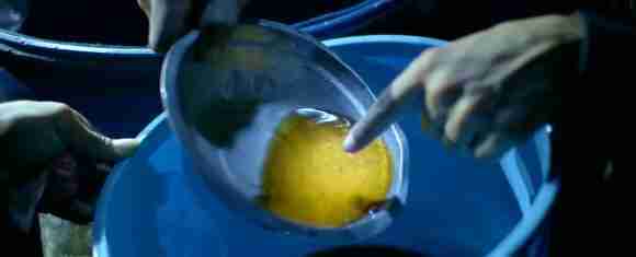 How Cocaine is Made