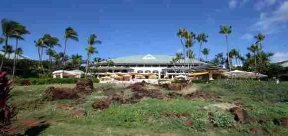 Luxury beachfront resort with palm trees and ocean view.