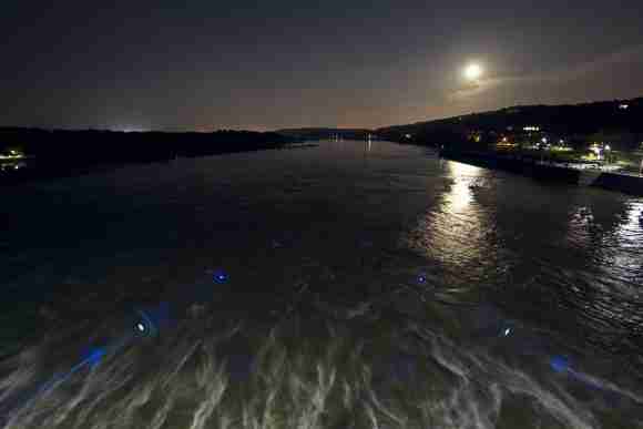 Night river scene with moonlight reflection and boat wake, tranquil waters.